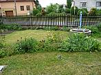 Třibřichy